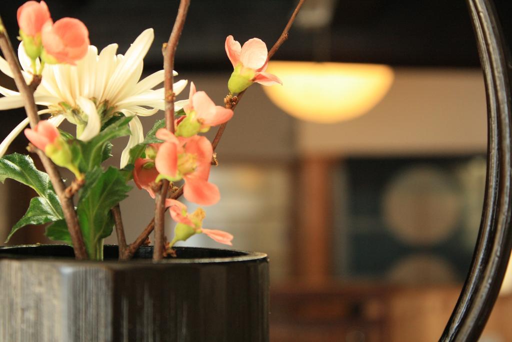 Hitachiota Yamadaya Ryokan المظهر الخارجي الصورة